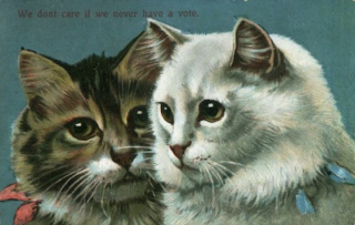 Illustration for article titled Suffragette Cats Are the Original Cat Ladies